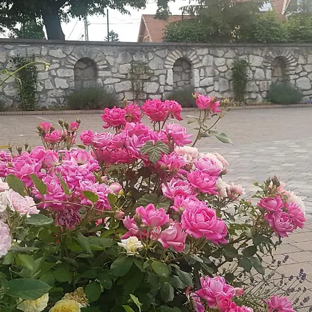 Huber Panzio 3* Fertőrákos