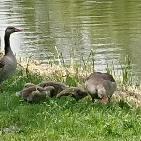 Huber Panzio Bed & Breakfast