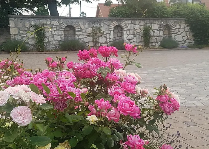Huber Panzio 3* Fertőrákos